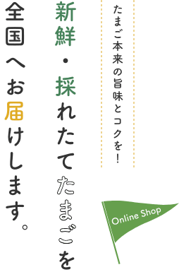 新鮮・採れたてたまごを全国へお届けします